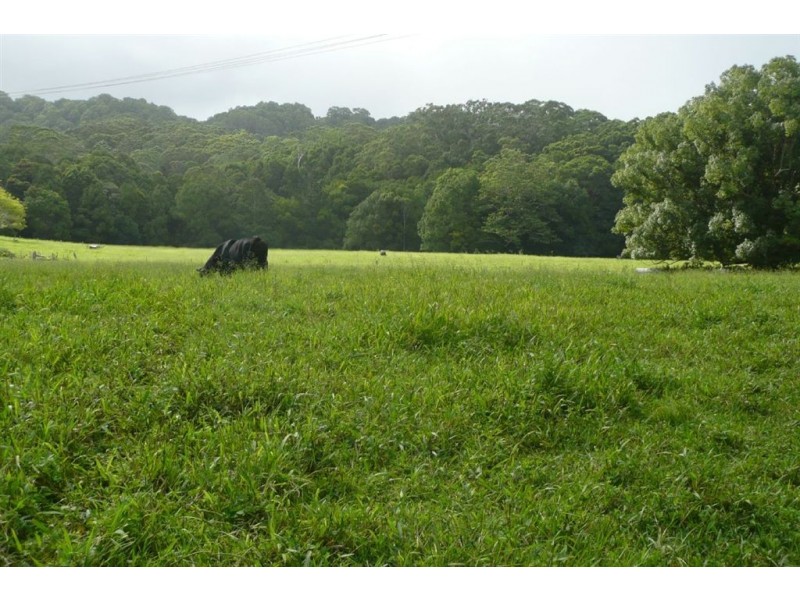 116 Crabbes Creek Road, Crabbes Creek NSW 2483