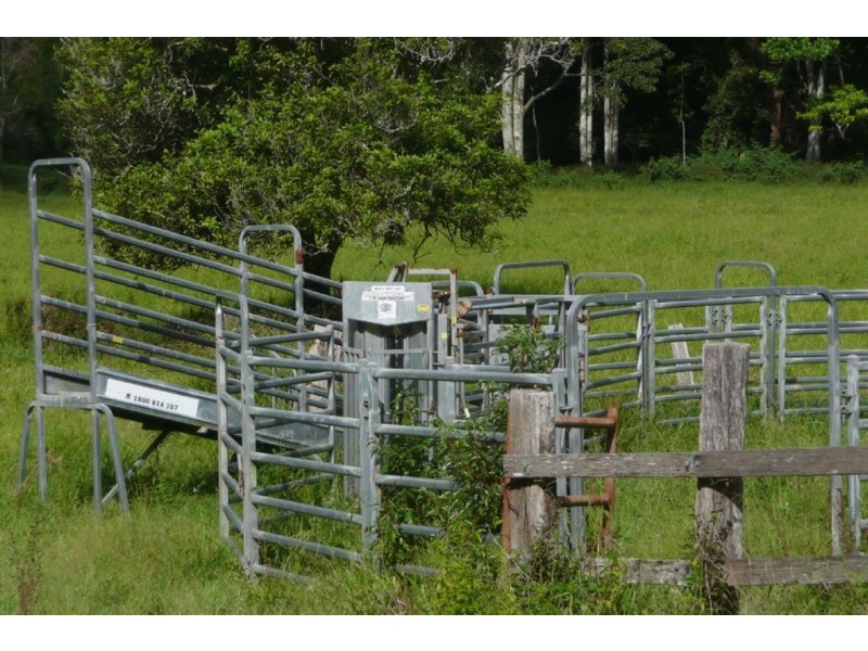 116 Crabbes Creek Road, Crabbes Creek NSW 2483