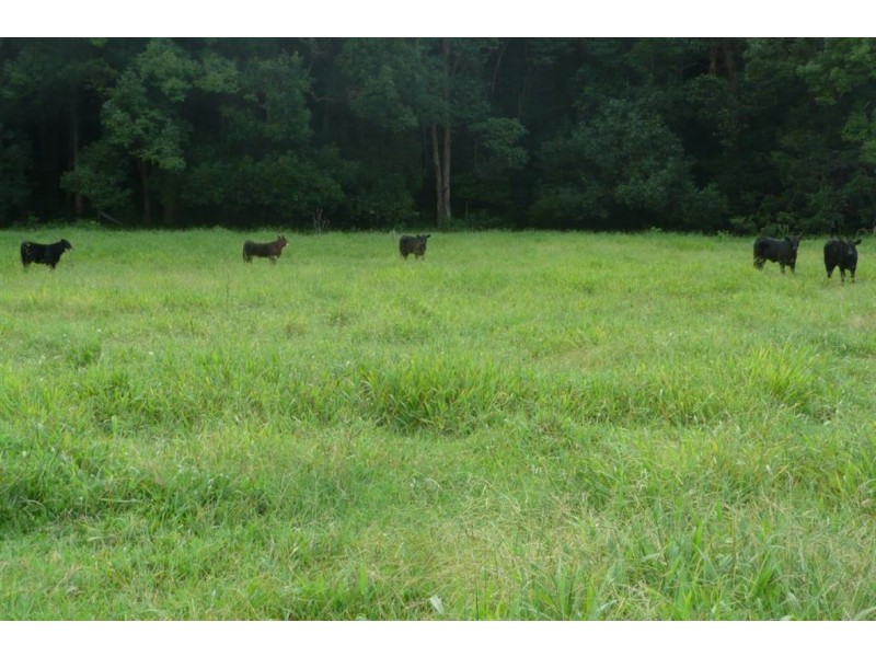 116 Crabbes Creek Road, Crabbes Creek NSW 2483