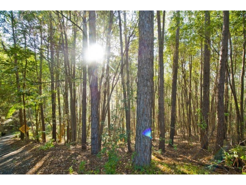 1255 Urliup rd, Murwillumbah NSW 2484