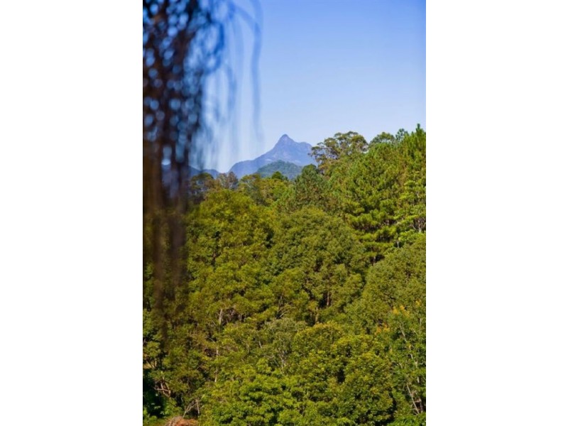 1255 Urliup rd, Murwillumbah NSW 2484