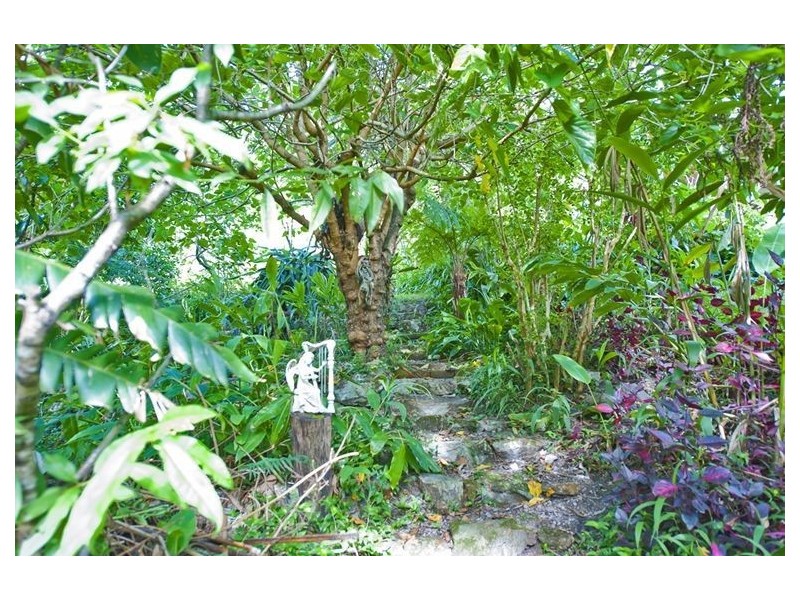 6183 Tweed Valley Way, Burringbar NSW 2483