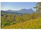 409 Kunghur Creek rd, Kunghur NSW 2484
