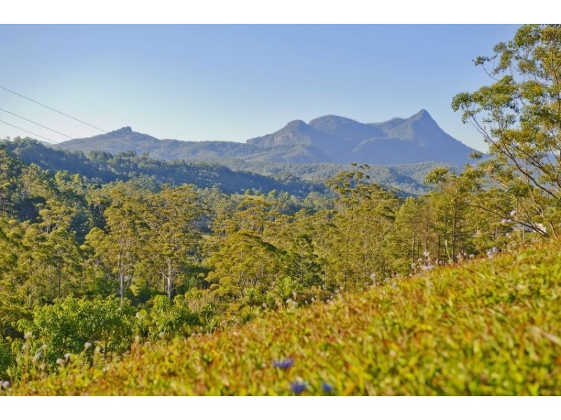 409 Kunghur Creek rd, Kunghur NSW 2484