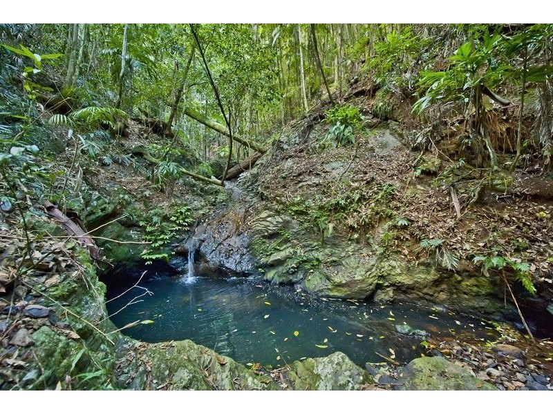790 Upper Burringbar Road, Burringbar NSW 2483