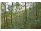 790 Upper Burringbar Road, Burringbar NSW 2483