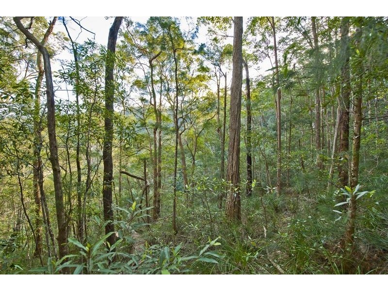 790 Upper Burringbar Road, Burringbar NSW 2483
