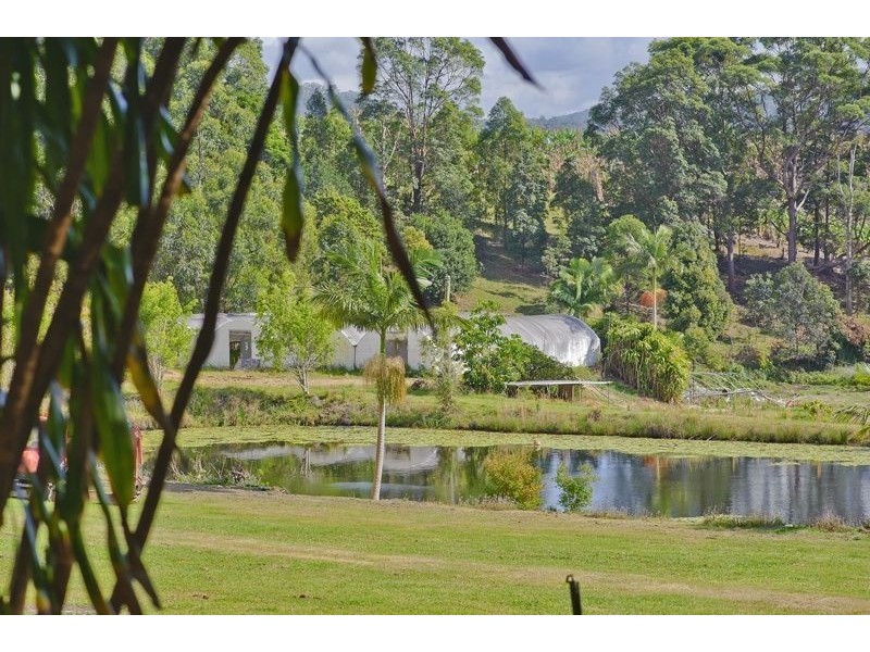 89 Warwick Park Road, Pottsville NSW 2489