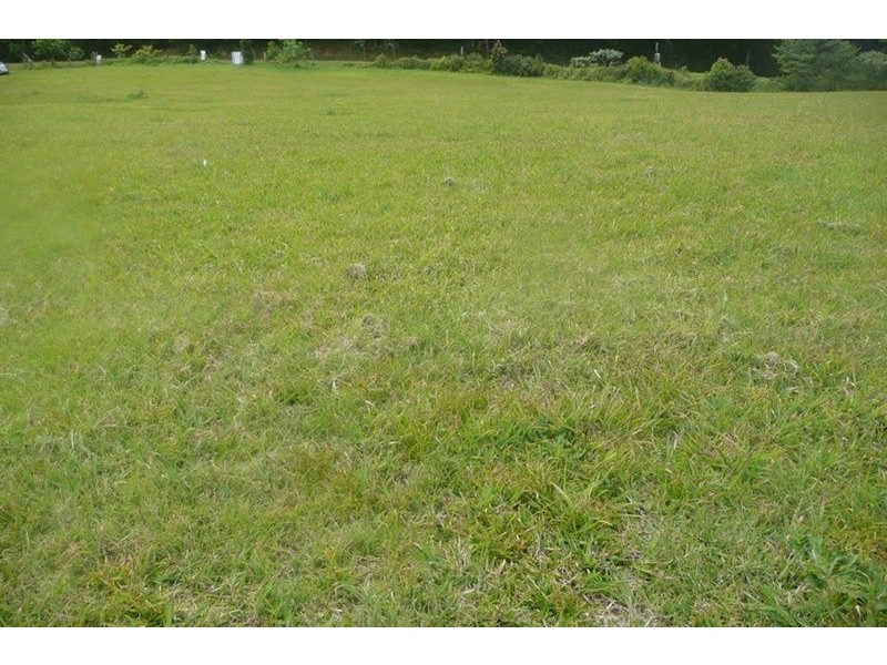 1248 Kyogle Road, Uki NSW 2484