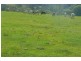 Murwillumbah NSW 2484
