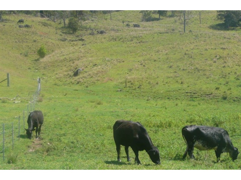 Murwillumbah NSW 2484