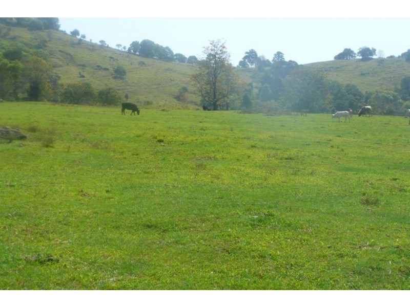Murwillumbah NSW 2484
