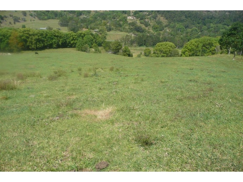 Murwillumbah NSW 2484