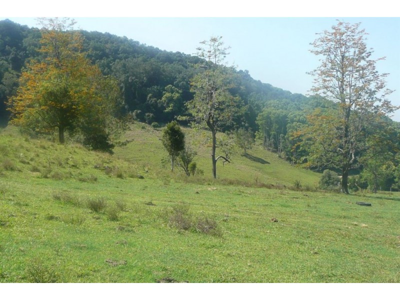 Murwillumbah NSW 2484