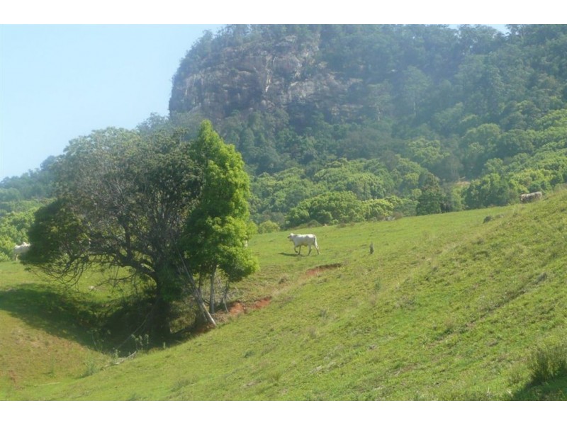 Murwillumbah NSW 2484