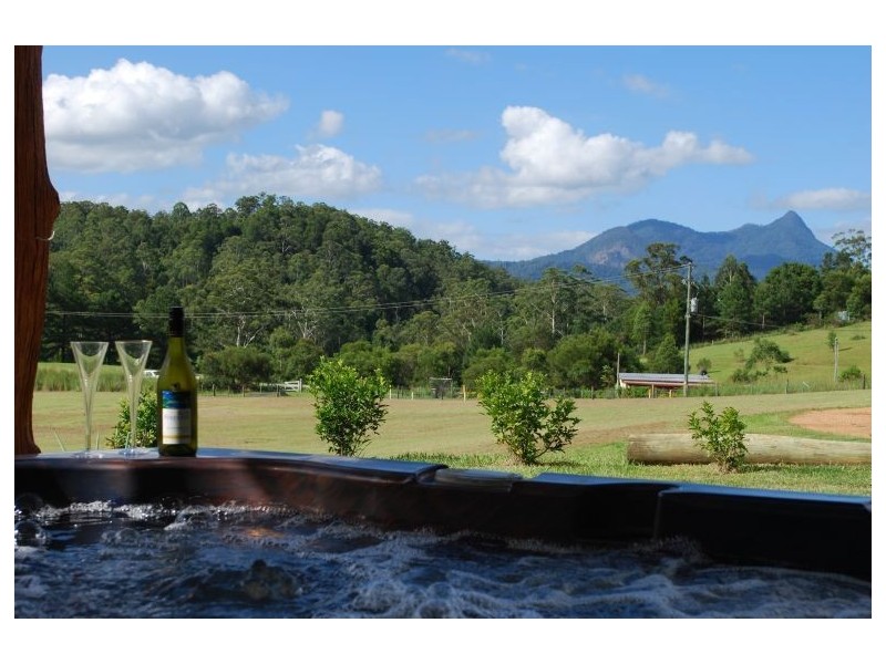 Mount Burrell NSW 2484