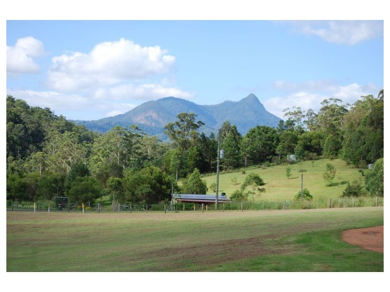 Mount Burrell NSW 2484