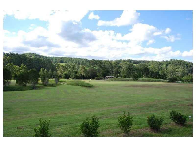 Mount Burrell NSW 2484