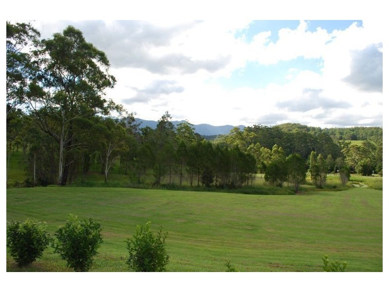 Mount Burrell NSW 2484