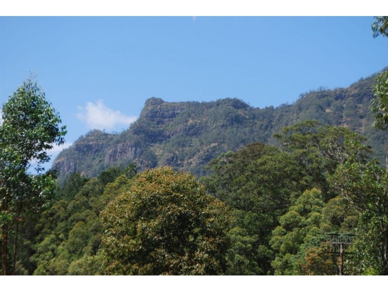 Mount Burrell NSW 2484