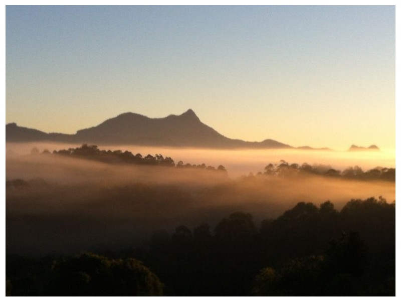 Mount Burrell NSW 2484