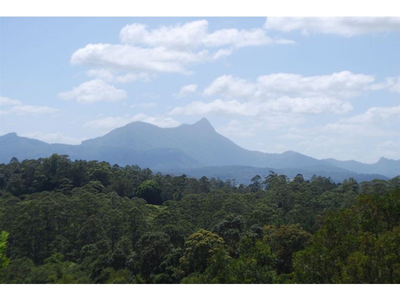 Mount Burrell NSW 2484