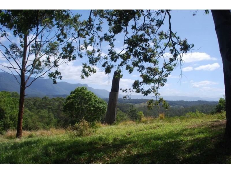 Mount Burrell NSW 2484