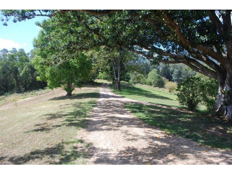 Mount Burrell NSW 2484