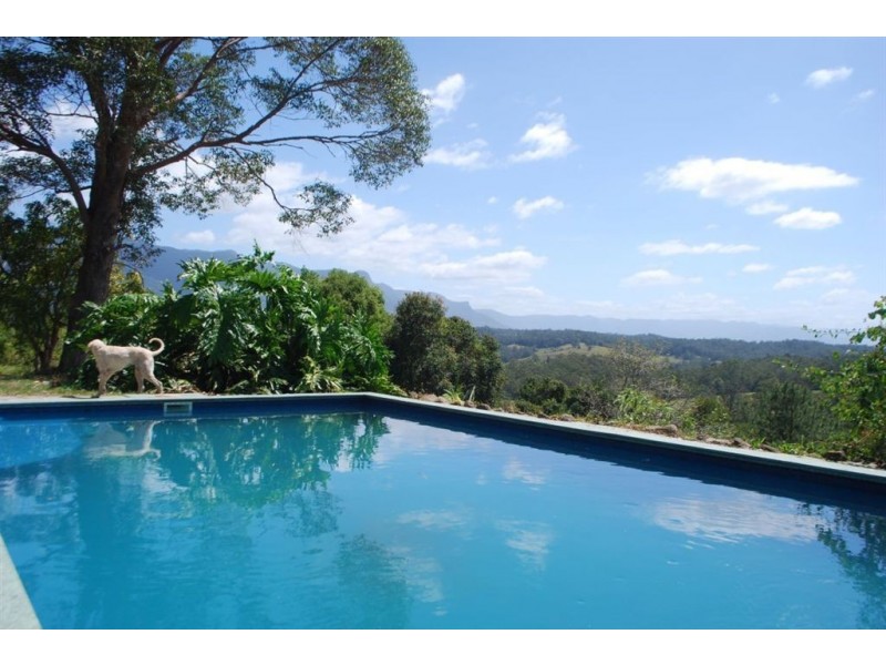 Mount Burrell NSW 2484