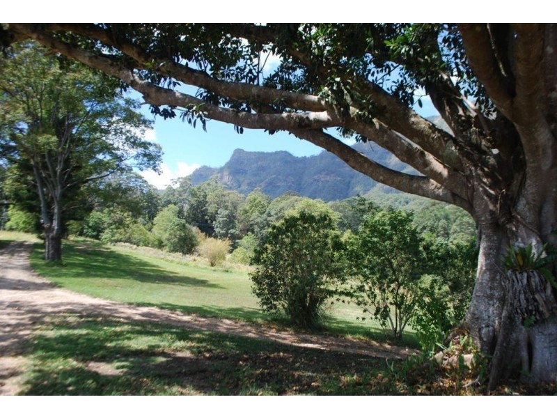 Mount Burrell NSW 2484