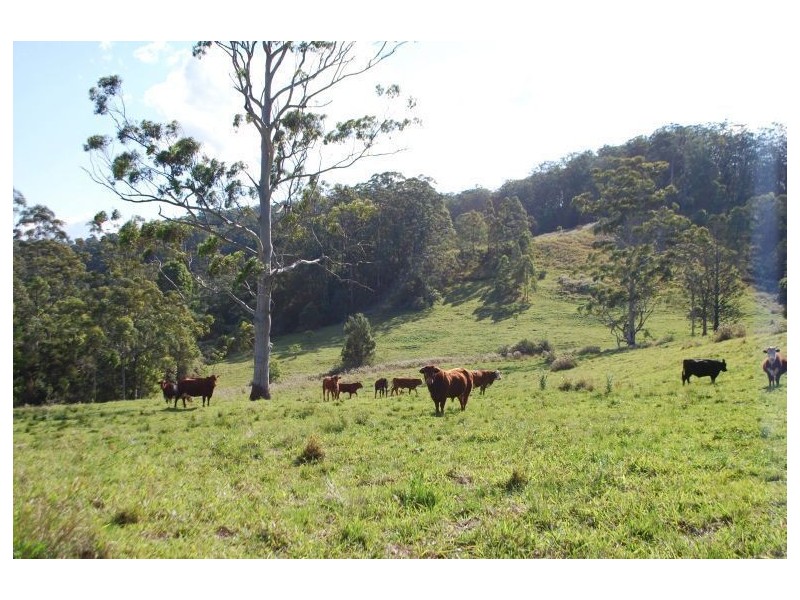 Lillian Rock NSW 2480