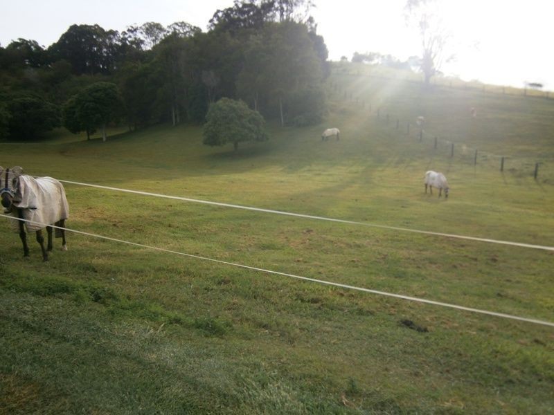 26 Spring Valley Road, Cudgera Creek, Pottsville NSW 2489