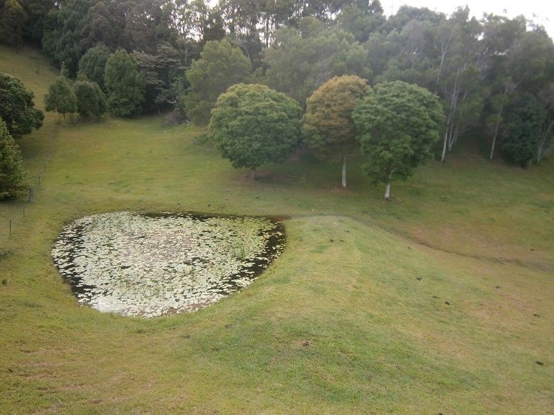 26 Spring Valley Road, Cudgera Creek, Pottsville NSW 2489