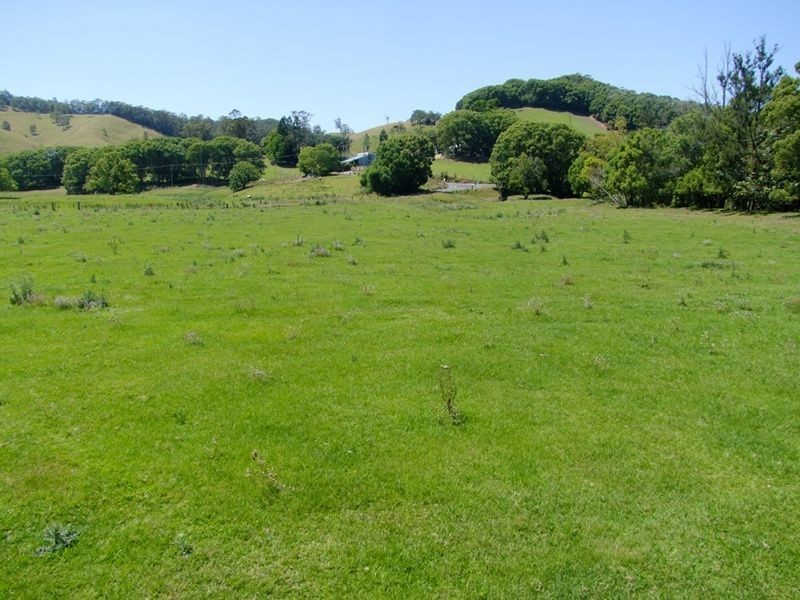 6 Blackwoods Road, Nobbys Creek NSW 2484