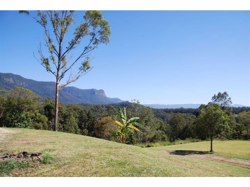 Mount Burrell NSW 2484