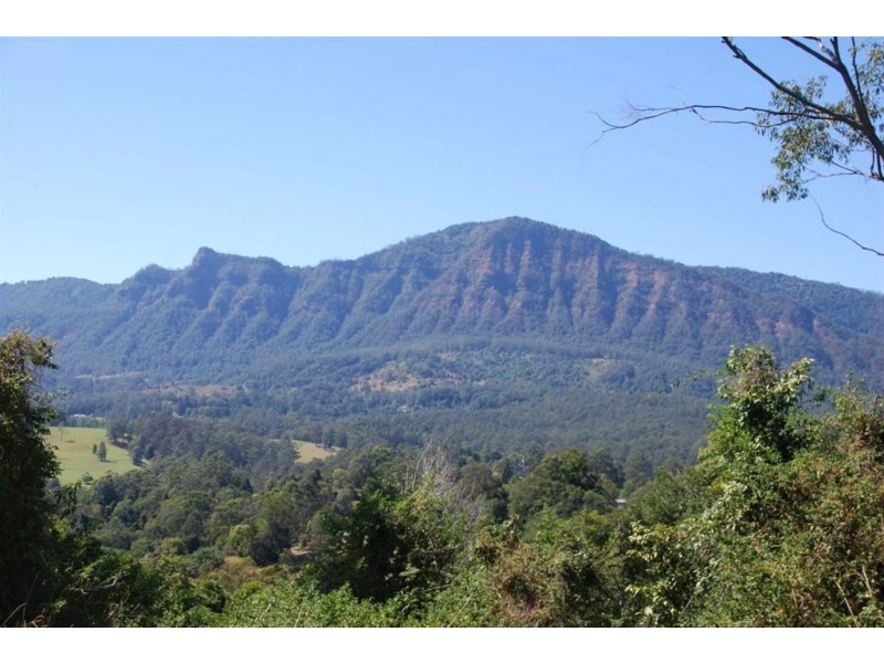 Mount Burrell NSW 2484