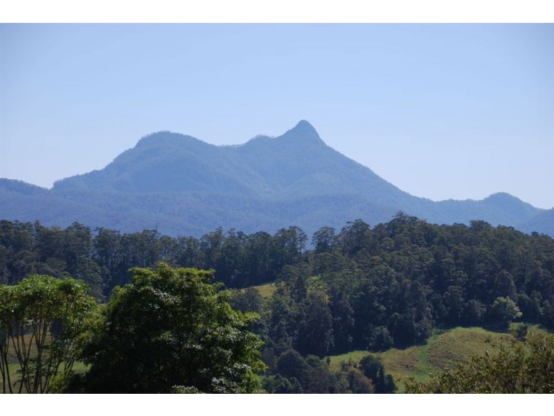 Mount Burrell NSW 2484