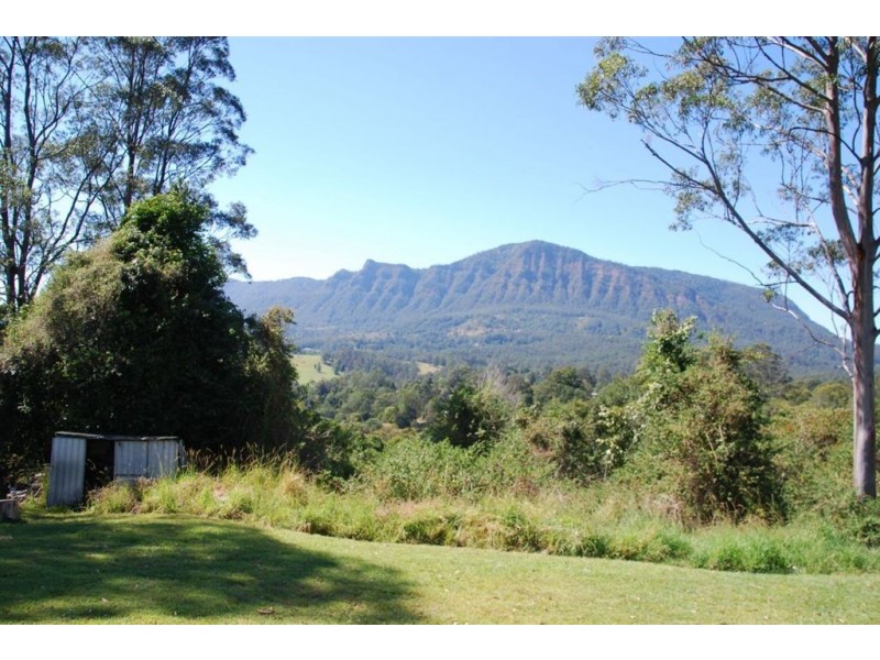 Mount Burrell NSW 2484