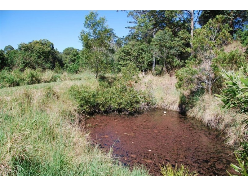 Mount Burrell NSW 2484