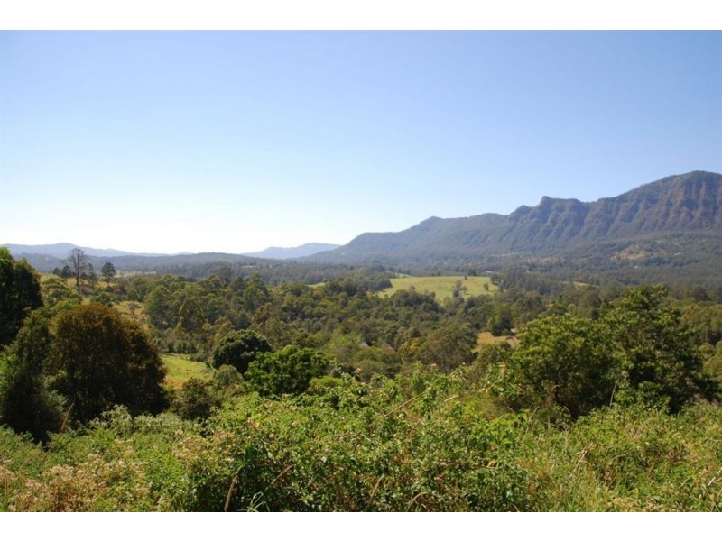 Mount Burrell NSW 2484