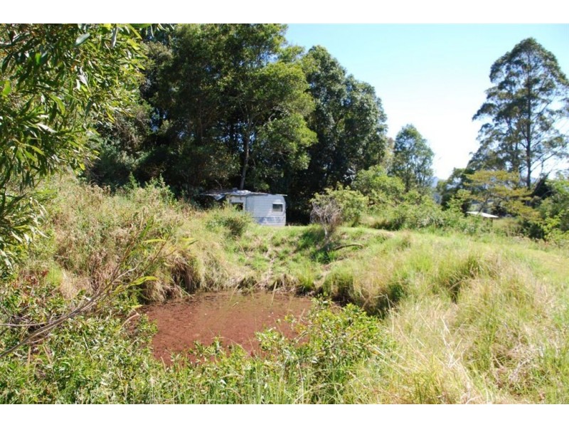 Mount Burrell NSW 2484