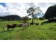 13 Pigeonberry Road, Nobbys Creek NSW 2484