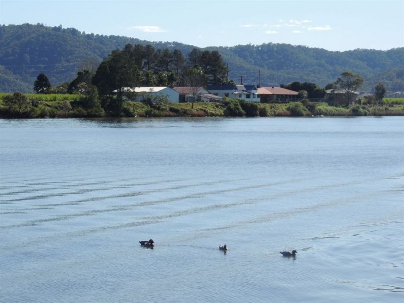 67 McLoed Street, Condong NSW 2484