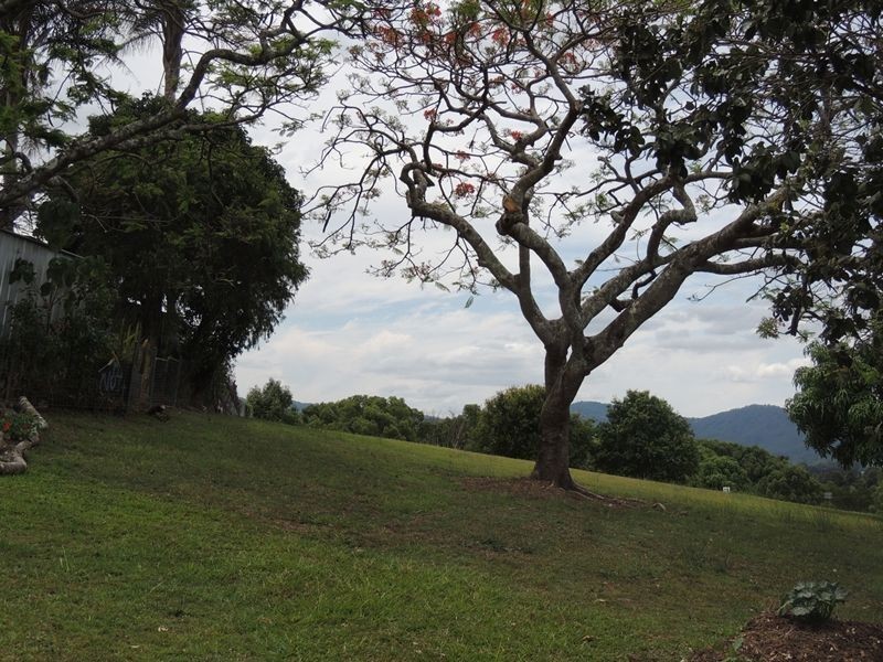 13 Dorothy Street, Murwillumbah NSW 2484