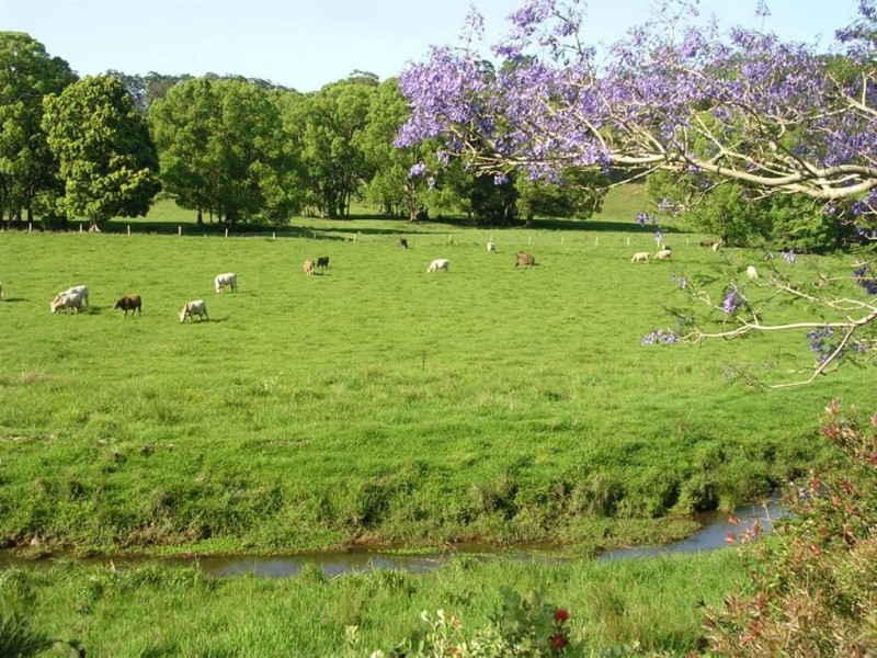 440 Wardrop Valley Road, Murwillumbah NSW 2484