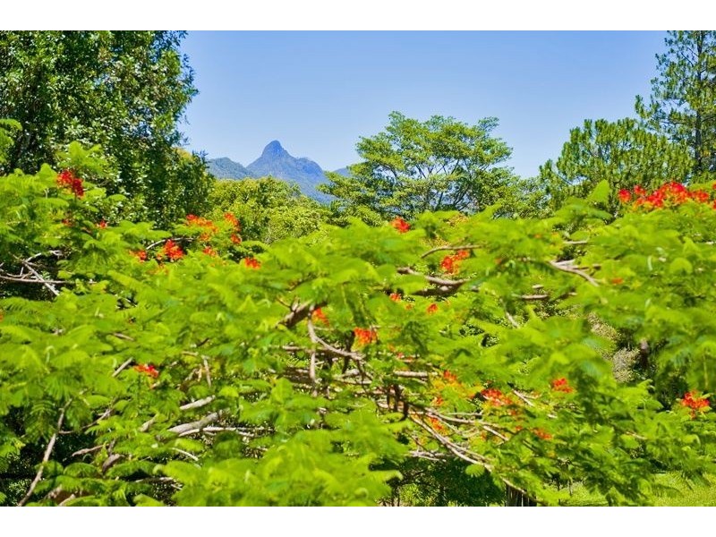 138 Old Lismore Road, Murwillumbah NSW 2484