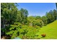 138 Old Lismore Road, Murwillumbah NSW 2484