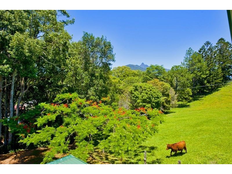 138 Old Lismore Road, Murwillumbah NSW 2484