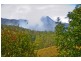 787 Doon Doon Road, Doon Doon NSW 2484