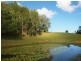 147 Pottsville Road, Mooball NSW 2483